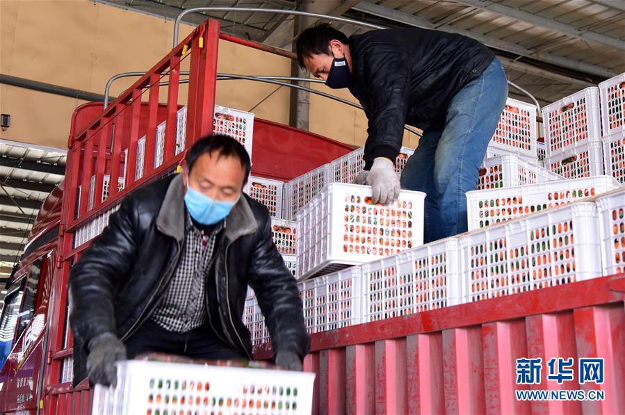 （聚焦疫情防控&middot;圖文互動）（5）吃的東西充足，做點花樣菜吧！&mdash;&mdash;中部地區(qū)最大農產品批發(fā)市場見聞 