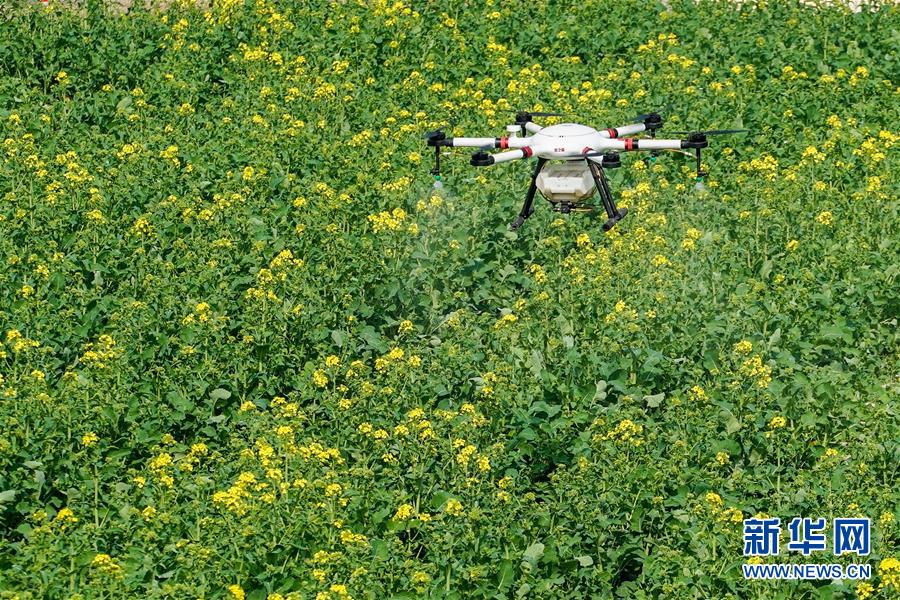 （在習(xí)近平新時(shí)代中國(guó)特色社會(huì)主義思想指引下&mdash;&mdash;新時(shí)代新作為新篇章&middot;習(xí)近平總書(shū)記關(guān)切事&middot;圖文互動(dòng)）（17）精準(zhǔn)發(fā)力抓統(tǒng)籌&mdash;&mdash;各地落實(shí)&ldquo;分區(qū)分級(jí)&rdquo;有序恢復(fù)生產(chǎn)生活