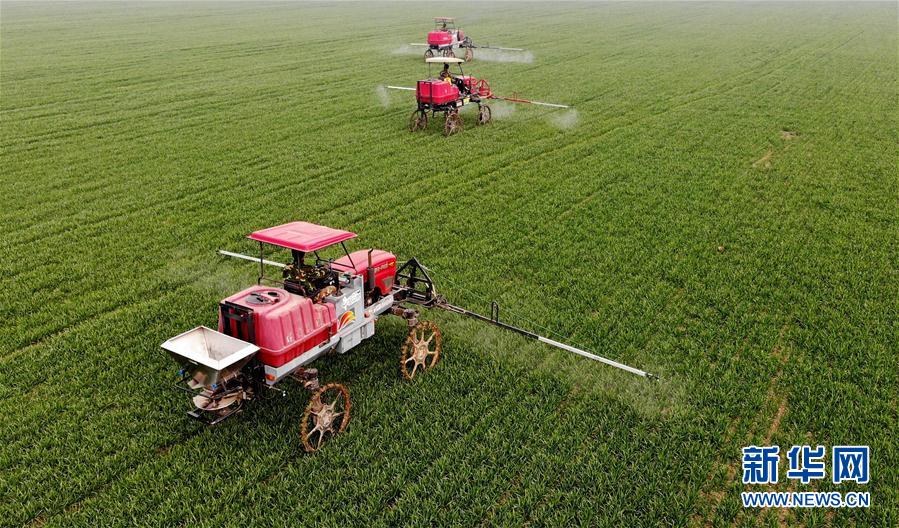 （新華全媒頭條&middot;圖文互動(dòng)）（3）春天，匯聚復(fù)蘇的力量&mdash;&mdash;寫在2020年首季中國經(jīng)濟(jì)收官之際