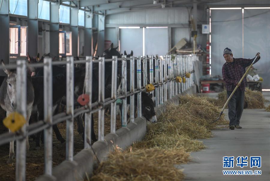 （決戰(zhàn)決勝脫貧攻堅(jiān)&middot;圖文互動(dòng)）（12）決戰(zhàn)昆侖&mdash;&mdash;新疆聚焦10個(gè)未摘帽縣展開深度貧困攻堅(jiān)戰(zhàn) 