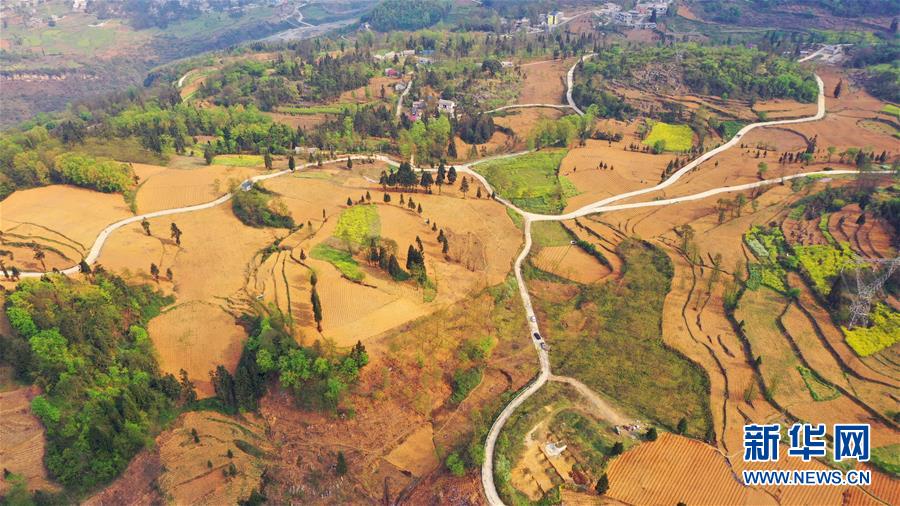 （決戰(zhàn)決勝脫貧攻堅(jiān)&middot;圖文互動(dòng)）（2）寄相思，償夙愿&mdash;&mdash;5封清明&ldquo;家書&rdquo;里的決戰(zhàn)決勝信念