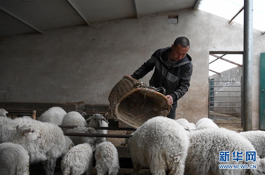 (新華全媒頭條·圖文互動(dòng))(1)春天里的5個(gè)“戰(zhàn)貧”瞬間——習(xí)近平總書(shū)記關(guān)于脫貧攻堅(jiān)決策部署指引攻克最后的深貧堡壘