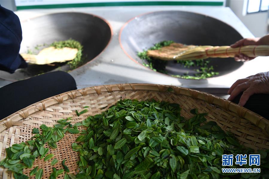 （新華全媒頭條&middot;圖文互動）（9）紅土地上的&ldquo;綠色減貧&rdquo;決戰(zhàn)&mdash;&mdash;大別山&ldquo;將軍縣&rdquo;金寨脫貧紀(jì)實