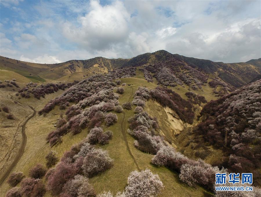 （圖文互動(dòng)）（7）&ldquo;疫&rdquo;去客來(lái)會(huì)有時(shí)&mdash;&mdash;新疆伊犁河谷旅游市場(chǎng)漸暖見(jiàn)聞
