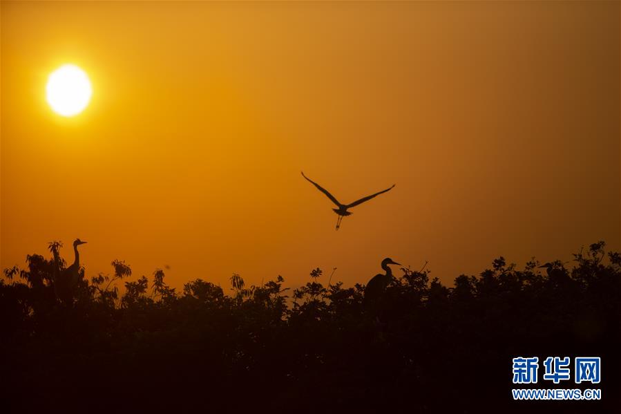 （新華全媒頭條&middot;圖文互動）（1）大湖新歌&mdash;&mdash;我國兩大淡水湖全面生態(tài)修復(fù)進行時