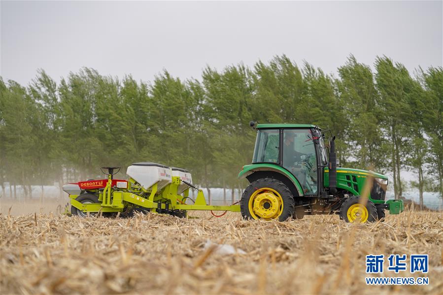 (在習(xí)近平新時(shí)代中國特色社會(huì)主義思想指引下——新時(shí)代新作為新篇章·習(xí)近平總書記關(guān)切事·圖文互動(dòng))(9)讓農(nóng)民挑上“金扁擔(dān)”——農(nóng)業(yè)現(xiàn)代化的生動(dòng)實(shí)踐掃描