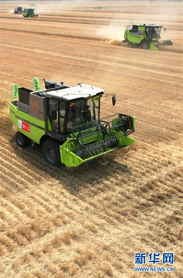 (在習(xí)近平新時(shí)代中國特色社會(huì)主義思想指引下——新時(shí)代新作為新篇章·習(xí)近平總書記關(guān)切事·圖文互動(dòng))(13)讓農(nóng)民挑上“金扁擔(dān)”——農(nóng)業(yè)現(xiàn)代化的生動(dòng)實(shí)踐掃描