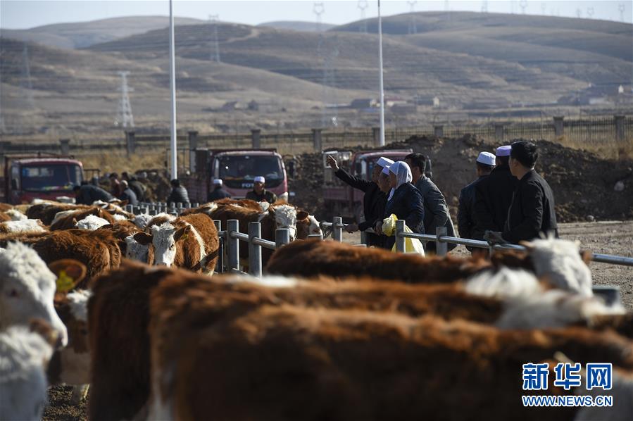 （在習(xí)近平新時(shí)代中國(guó)特色社會(huì)主義思想指引下&mdash;&mdash;新時(shí)代新作為新篇章&middot;習(xí)近平總書記關(guān)切事&middot;圖文互動(dòng)）（2）六盤山下的誓言&mdash;&mdash;來(lái)自寧夏的脫貧故事