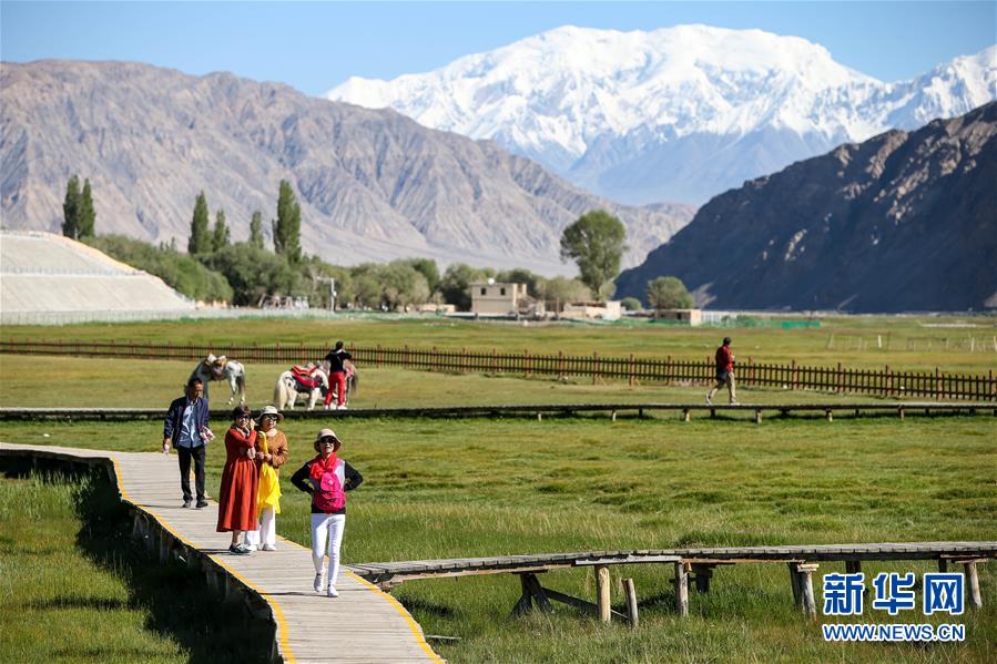 （新華全媒頭條&middot;圖文互動(dòng)）（15）飛吧，&ldquo;帕米爾雄鷹&rdquo;！