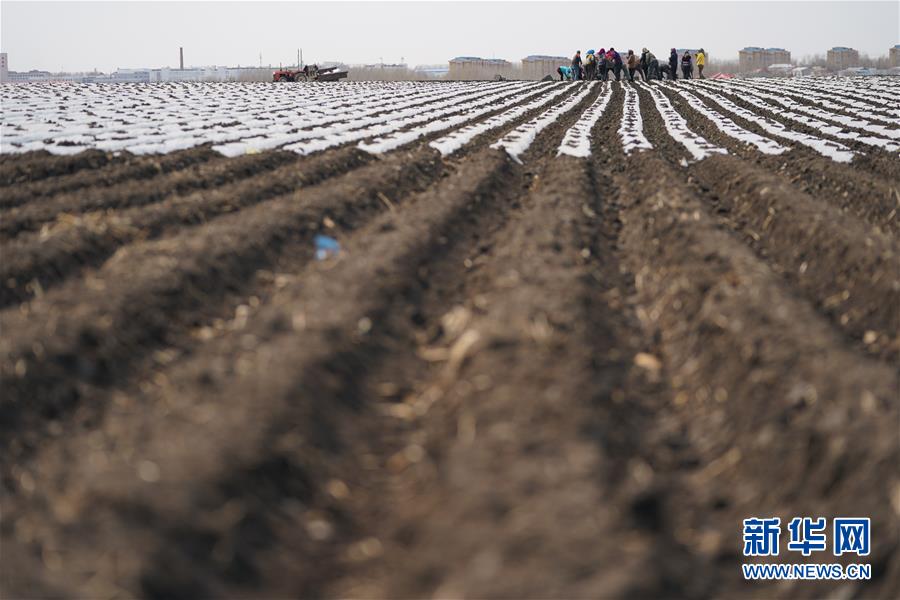 （在習(xí)近平新時(shí)代中國特色社會(huì)主義思想指引下&mdash;&mdash;新時(shí)代新作為新篇章&middot;習(xí)近平總書記關(guān)切事&middot;圖文互動(dòng)）（3）讓每一寸耕地都成為豐收的沃土&mdash;&mdash;我國加強(qiáng)耕地保護(hù)推進(jìn)&ldquo;藏糧于地&rdquo;