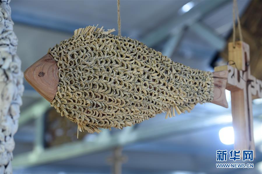  （新華全媒頭條&middot;圖文互動）（6）青春，在希望的田野上&mdash;&mdash;大別山區(qū)尋訪&ldquo;城歸&rdquo;大學(xué)畢業(yè)生