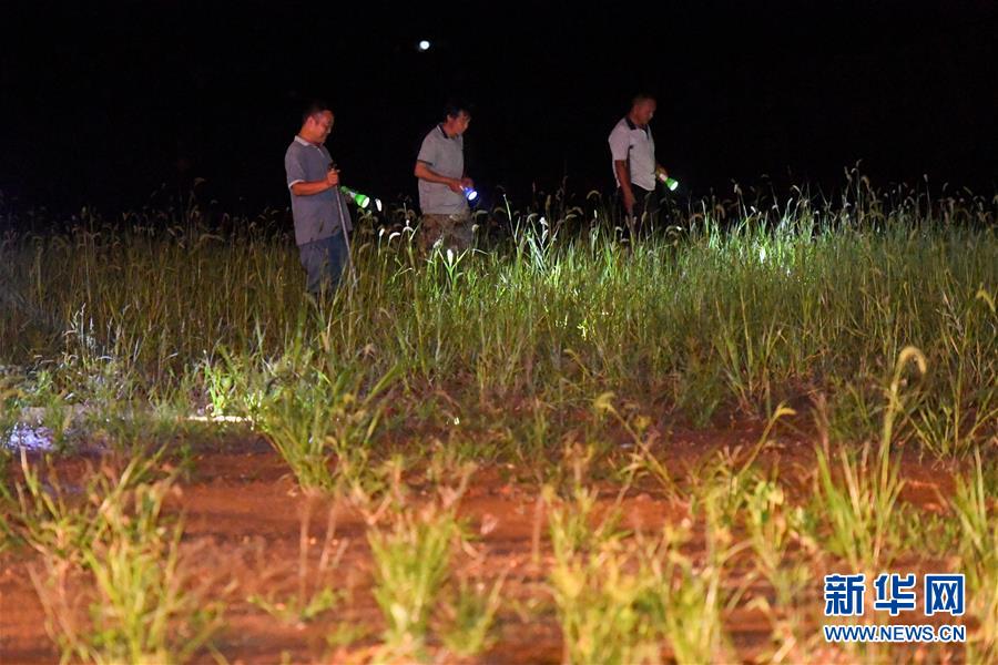 （防汛抗洪&middot;圖文互動）（2）&ldquo;保衛(wèi)家園，誰都不能是旁觀者&rdquo;&mdash;&mdash;夜訪洞庭湖大堤防汛一線