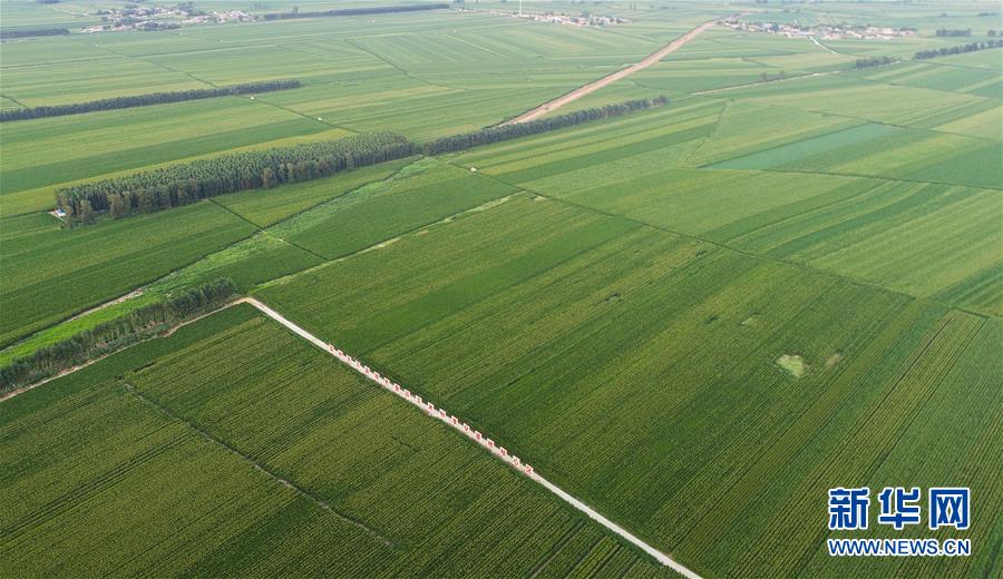 （在習(xí)近平新時(shí)代中國(guó)特色社會(huì)主義思想指引下&mdash;&mdash;新時(shí)代新作為新篇章&middot;習(xí)近平總書記關(guān)切事&middot;圖文互動(dòng)）（2）為黑土加&ldquo;油&rdquo;&mdash;&mdash;&ldquo;耕地中的大熊貓&rdquo;，我們這樣保護(hù)