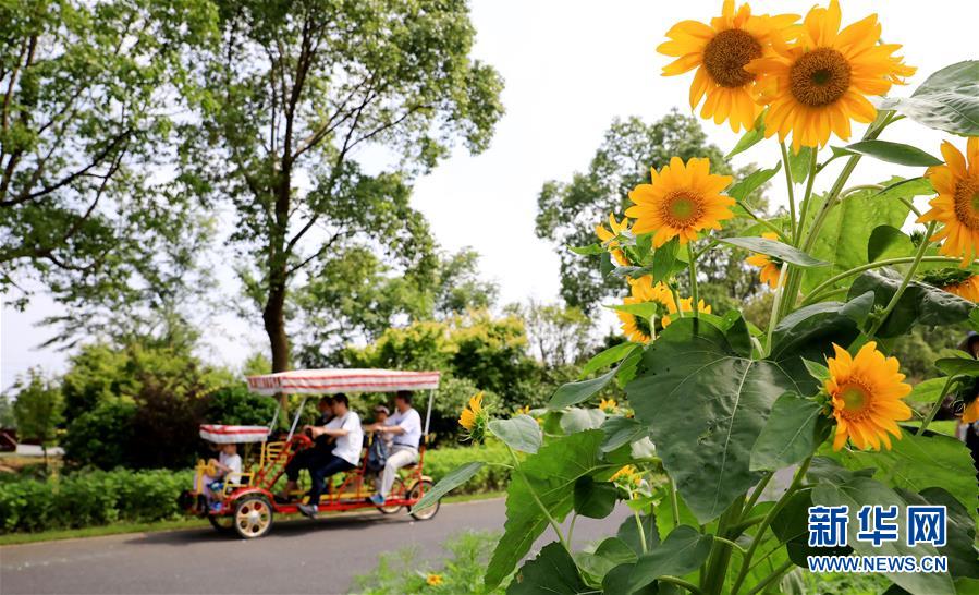 （新華全媒頭條&middot;走向我們的小康生活&middot;圖文互動）（13）城市，讓人民生活更美好