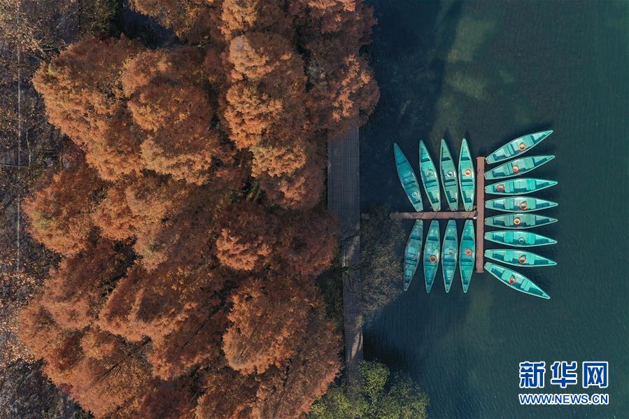 （新華全媒頭條&middot;圖文互動(dòng)）（8）錢塘今朝更繁華&mdash;&mdash;高水平小康的&ldquo;杭州答卷&rdquo;