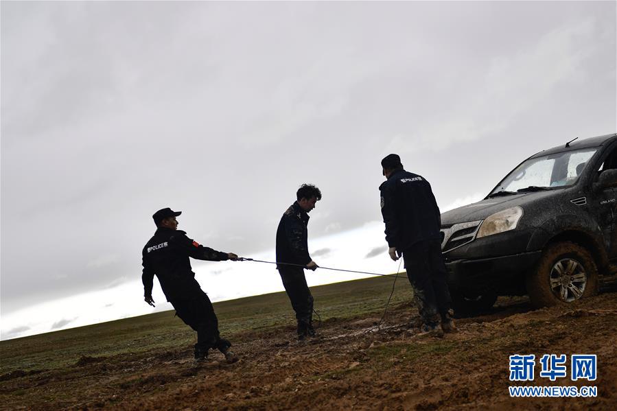 （圖文互動）（10）記者手記：可可西里，&ldquo;挪&rdquo;向&ldquo;藏羚羊大產(chǎn)房&rdquo;的14個半小時