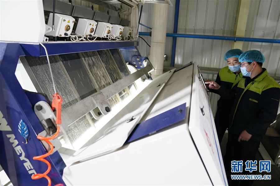 （在習(xí)近平新時(shí)代中國特色社會(huì)主義思想指引下&mdash;&mdash;新時(shí)代新作為新篇章&middot;習(xí)近平總書記關(guān)切事&middot;圖文互動(dòng)）（6）激發(fā)每個(gè)經(jīng)濟(jì)&ldquo;細(xì)胞&rdquo;的活力&mdash;&mdash;千方百計(jì)把市場(chǎng)主體保護(hù)好