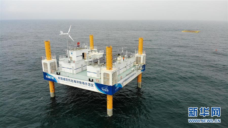 (新華全媒頭條·走向我們的小康生活·圖文互動(dòng))(5)幸福小康入畫來(lái)——齊魯大地描繪小康新畫卷