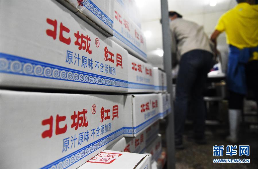 (走向我們的小康生活·圖文互動(dòng))(2)長(zhǎng)島漁民的扇貝喜事:從請(qǐng)客求人買到供不應(yīng)求