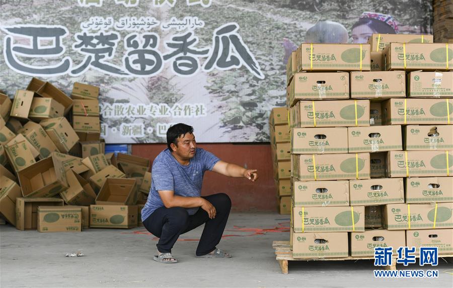 (決戰(zhàn)決勝脫貧攻堅(jiān)·圖文互動)(3)“窮”鄉(xiāng)富戶的販瓜生意經(jīng)