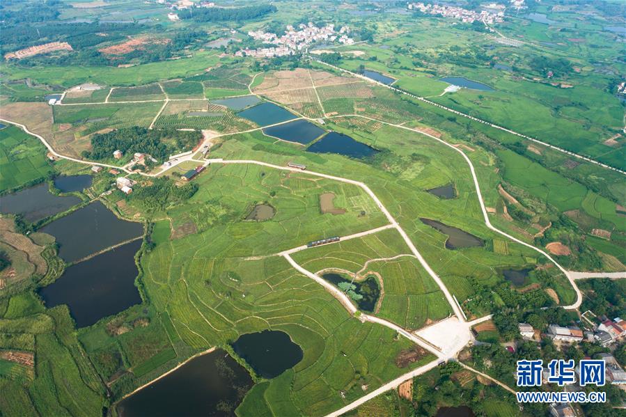 （新華全媒頭條&middot;走向我們的小康生活&middot;圖文互動）（1）特殊之年，荊楚大地書寫不平凡的答卷