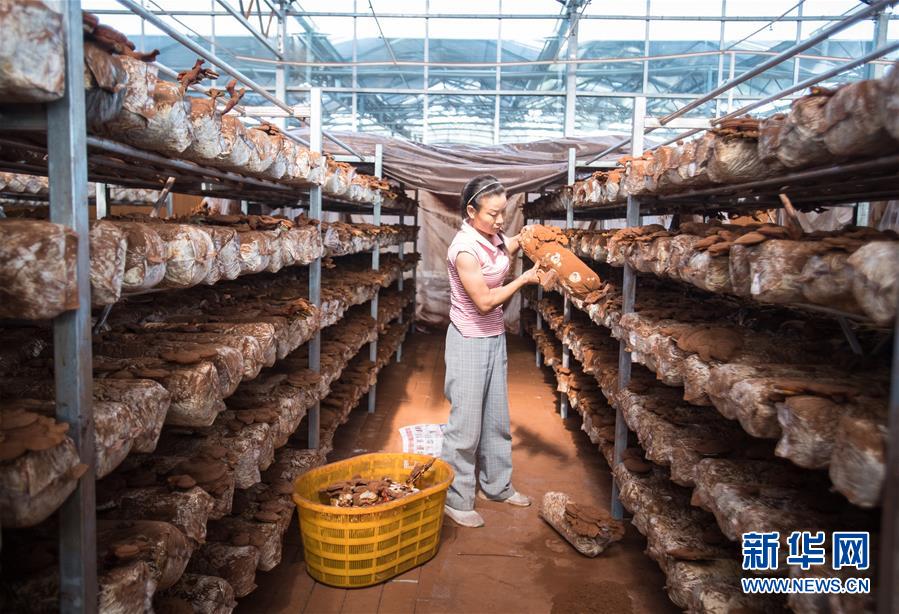 （新華全媒頭條&middot;走向我們的小康生活&middot;圖文互動）（3）特殊之年，荊楚大地書寫不平凡的答卷