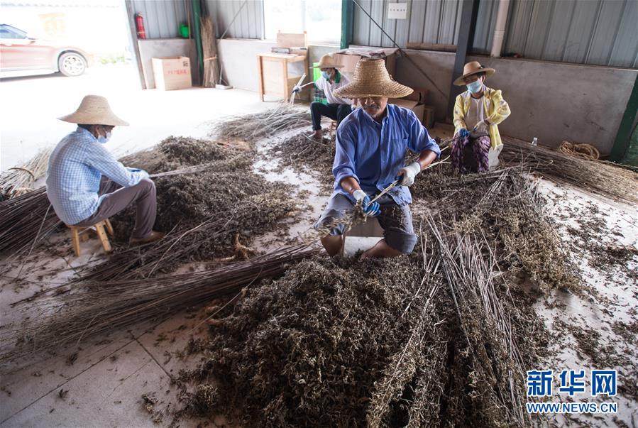 （新華全媒頭條&middot;走向我們的小康生活&middot;圖文互動）（10）特殊之年，荊楚大地書寫不平凡的答卷