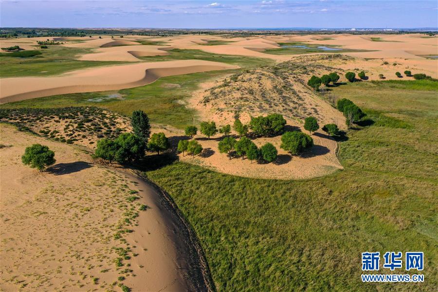 （在習近平新時代中國特色社會主義思想指引下&mdash;&mdash;新時代新作為新篇章&middot;習近平總書記關切事&middot;圖文互動）（10）綠意，在黃沙中鋪展&mdash;&mdash;我國防沙治沙紀實