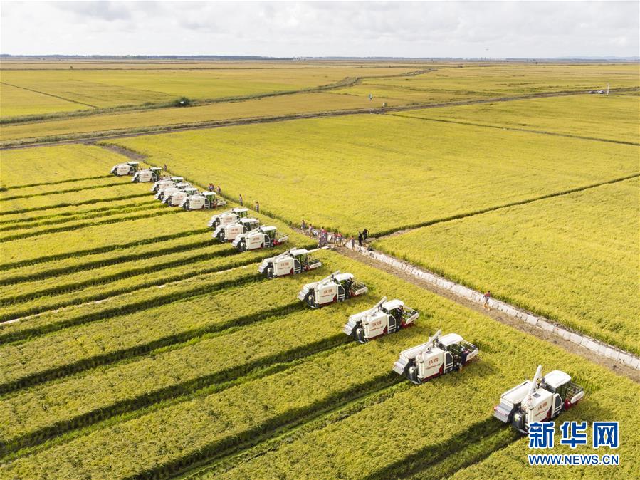 （新華全媒頭條&middot;圖文互動(dòng)）（15）奮斗結(jié)碩果，再寫新篇章&mdash;&mdash;寫在共和國(guó)71周年華誕之際