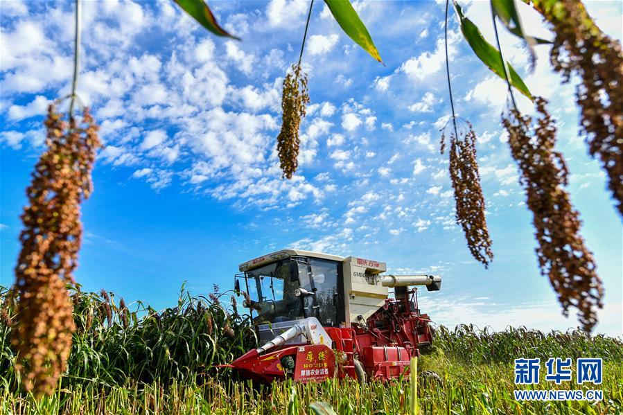 （新華全媒頭條&middot;圖文互動(dòng)）（17）奮斗結(jié)碩果，再寫新篇章&mdash;&mdash;寫在共和國(guó)71周年華誕之際