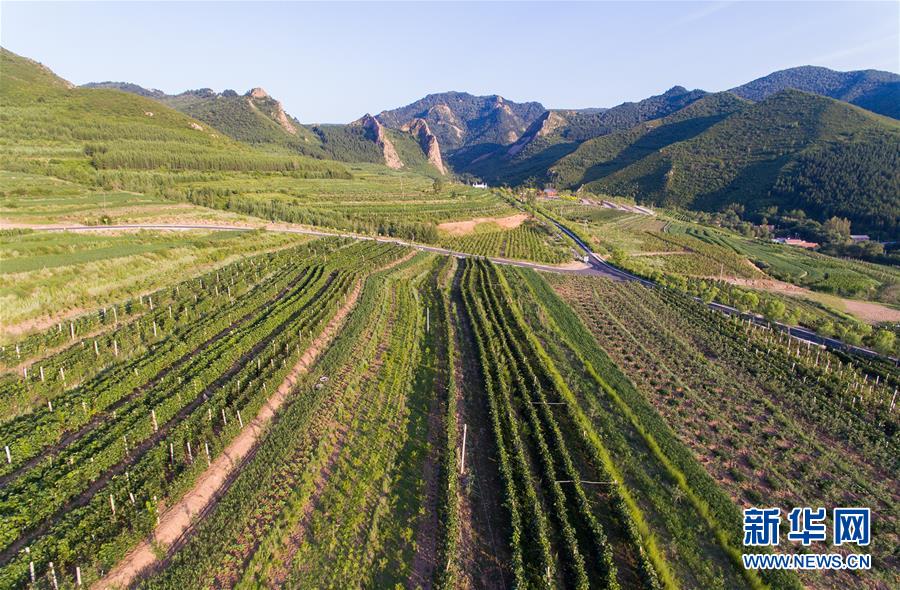 (集中連片特困地區(qū)貧困村調研行·圖文互動)(1)又整新鞍馬蹄輕——內蒙古喀喇沁旗馬鞍山村脫貧調查