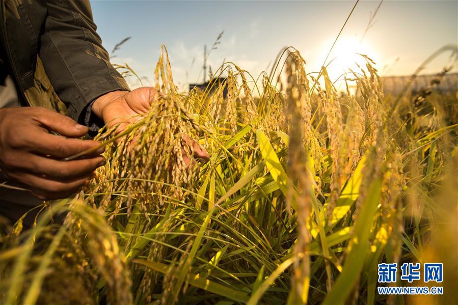 （新華全媒頭條&middot;圖文互動(dòng)）（5）上下同心再出發(fā)&mdash;&mdash;習(xí)近平總書記同出席2019年全國(guó)兩會(huì)人大代表、政協(xié)委員共商國(guó)是紀(jì)實(shí)