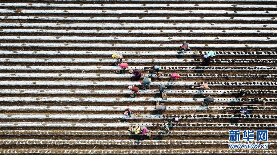 （在習(xí)近平新時代中國特色社會主義思想指引下&mdash;&mdash;新時代新作為新篇章&middot;習(xí)近平總書記關(guān)切事&middot;圖文互動）（2）讓每一寸耕地都成為豐收的沃土&mdash;&mdash;我國加強(qiáng)耕地保護(hù)推進(jìn)&ldquo;藏糧于地&rdquo;
