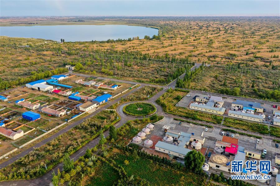 （在習近平新時代中國特色社會主義思想指引下&mdash;&mdash;新時代新作為新篇章&middot;習近平總書記關切事&middot;圖文互動）（12）綠意，在黃沙中鋪展&mdash;&mdash;我國防沙治沙紀實