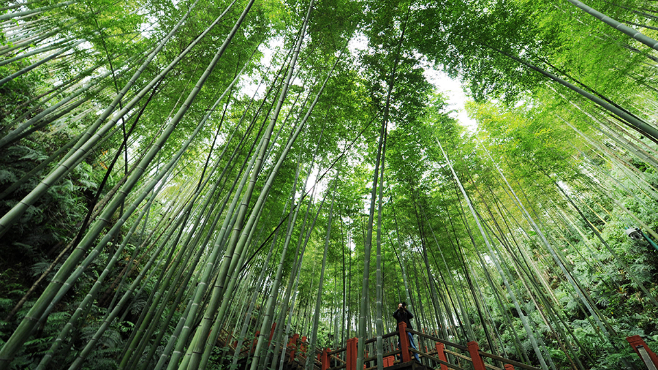 合作共治、責(zé)任共擔(dān)、效益共享&mdash;&mdash;赤水河流域跨省生態(tài)補(bǔ)償取得積極成效