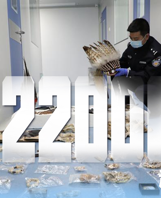 抗疫有&ldquo;法&rdquo;，就是這么給力！