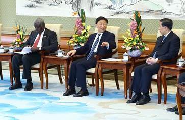 李源潮會見中非合作論壇約翰內(nèi)斯堡峰會成果落實協(xié)調人會議非方代表團團長