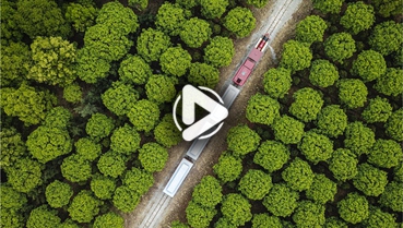 第十一集：你好！地球衛(wèi)士