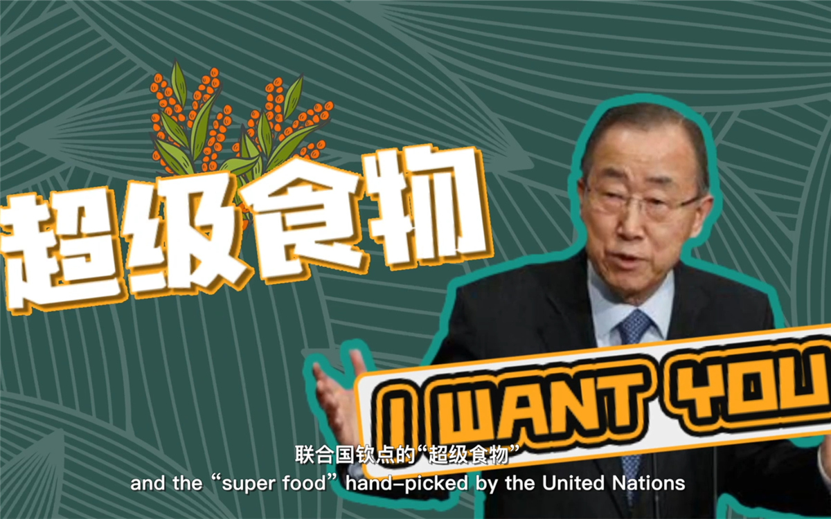 聯(lián)合國將藜麥視為抗擊饑餓的&ldquo;超級食物&rdquo;，大力推廣