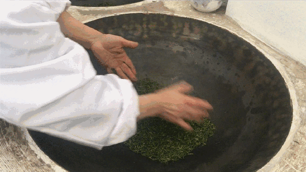 申遺，把雨花茶手藝傳承下去