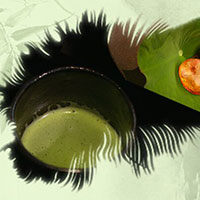 熱茶與伏天的關(guān)系，只有清涼