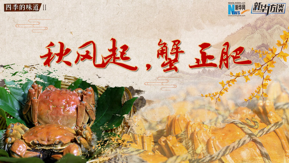 秋風(fēng)起，蟹正肥