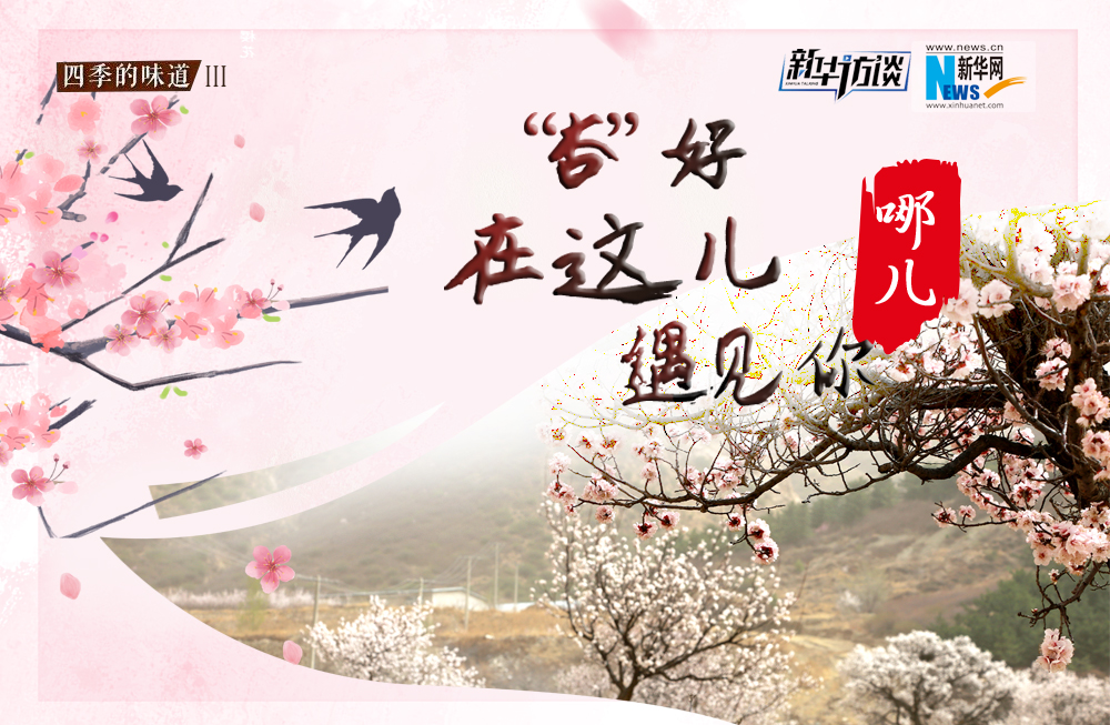 哪兒？&ldquo;杏&rdquo;好在這兒遇見你！