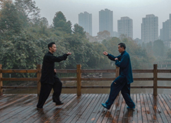 觀(guān)賞性強(qiáng)