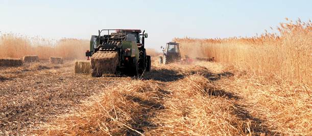 &ldquo;機(jī)戰(zhàn)&rdquo;百萬(wàn)畝蘆蕩