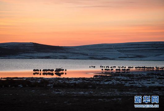 從全國兩會(huì)看&ldquo;中國家園&rdquo;