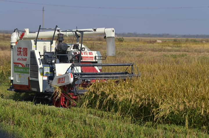 新華社評(píng)論員:穩(wěn)固耕地基本盤，打好種業(yè)翻身仗