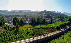 兩岸智庫(kù)專(zhuān)家：大陸鄉(xiāng)村振興將為兩岸融合帶來(lái)新機(jī)遇