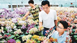 臺商眼中的改革開放：風(fēng)景這邊獨(dú)好 要去，要去，要去！