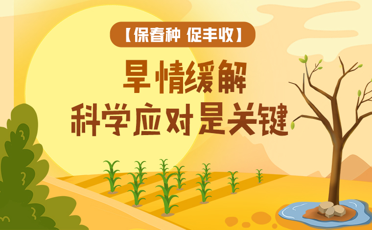 【保春種 促豐收】旱情緩解 科學應(yīng)對是關(guān)鍵